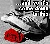 rose_of_darkness